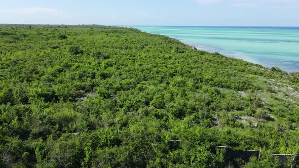 Zanzibar Tanzania  Ocean Shore Covered with Green Thickets