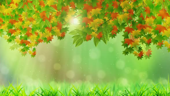 Spring Background