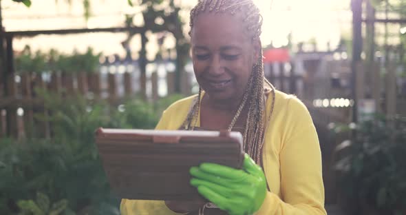 Mature african woman working inside greenhouse garden using digital tablet - Nursery and spring