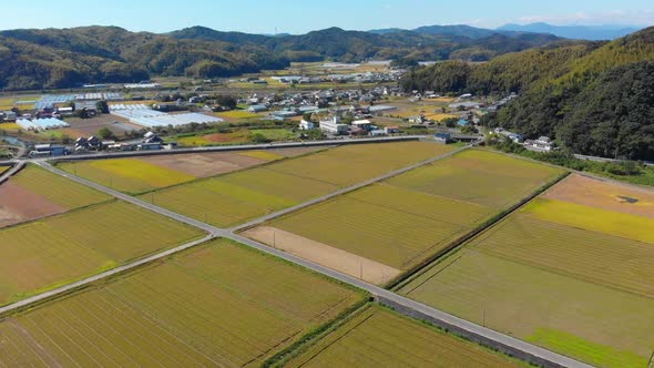 flying over farmland and a small village with greenhouses in japanese countryside