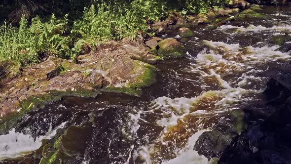 rapid small mountain river with waterfall in forest