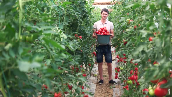 Young Happy Farmer Holding Bucket with Tomatoes