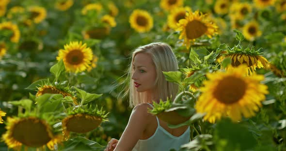 Blonde Woman Walks Through a Field of Sunflowers Makes Her Way Through the Flowers