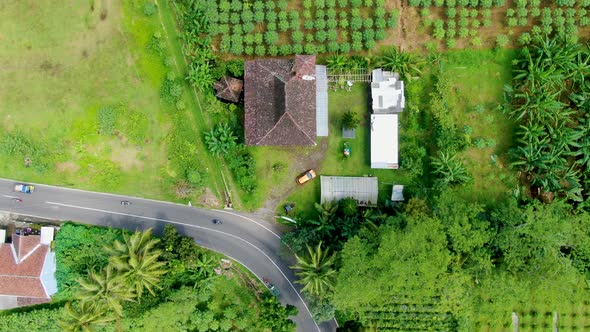 Top view house amid lush green plantation, exotic landscape of Java, Indonesia