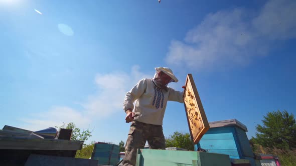 Man in protective hat on apiary.