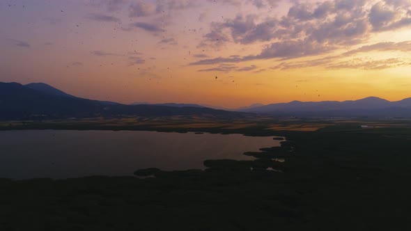 Birds Flying at Sunset