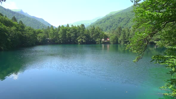 Turquoise Water in a Mountain Forest Lake with Pine Trees