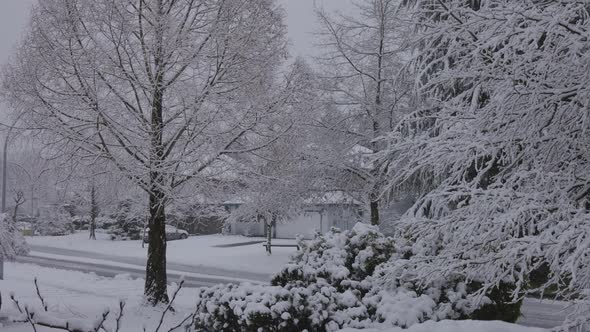 Fresh White Snow in the Residential Neighborhood During Winter