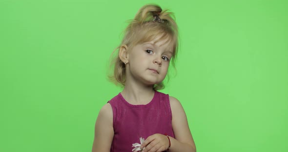 Girl Holds Chamomile Flower and Tells Something. Happy Little Child. Chroma Key