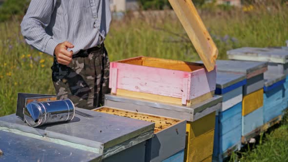 Beekeeping process