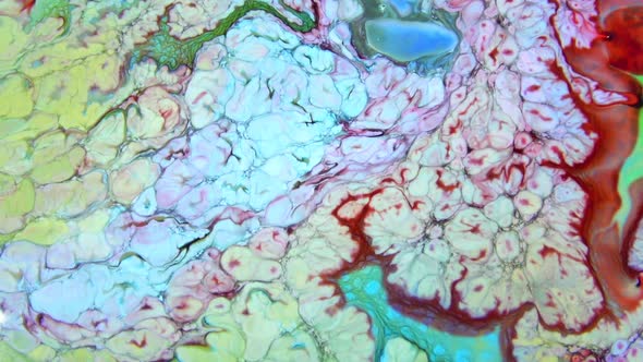 Psychedelic Colour Paint  Spreading Swirling 6