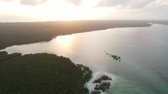 Zanzibar Tanzania  Ocean Shore Covered with Green Thickets