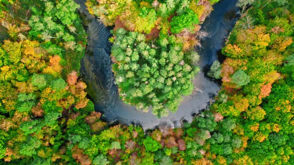 Winding river and autumn forest in Poland, aerial view