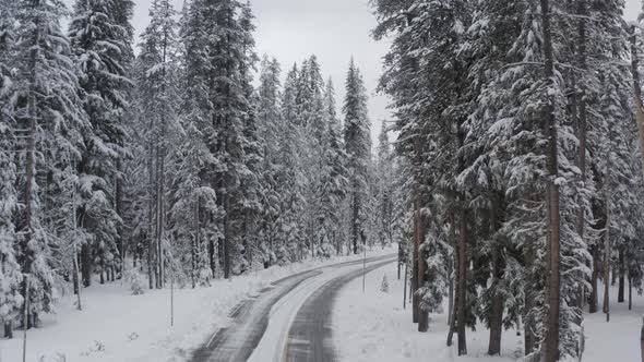 Snowy road through a dense and snow-covered forest