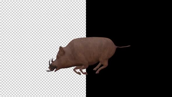 Wooden Boar Pack  alt