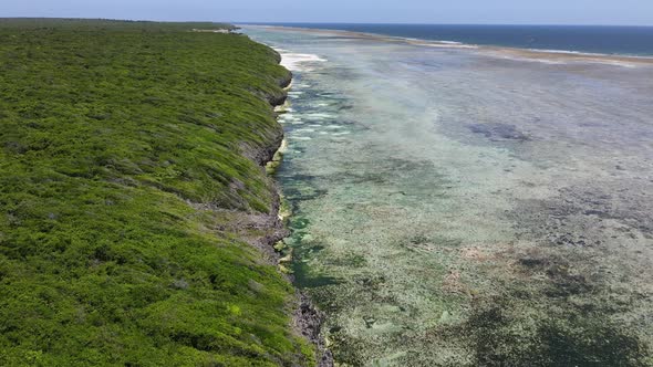 Coast of Zanzibar Island Tanzania Covered with Thickets