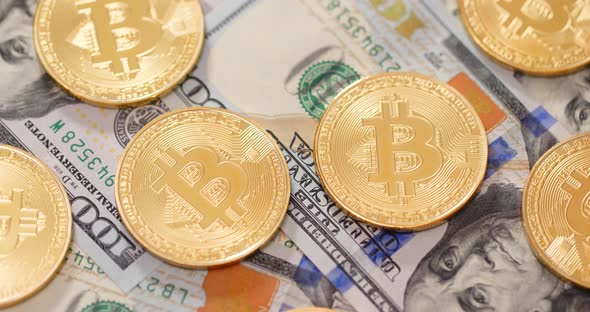 Golden bitcoin and USD