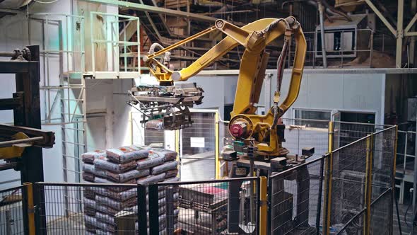 Sawmill processing on machines. Production line of the sawmill factory