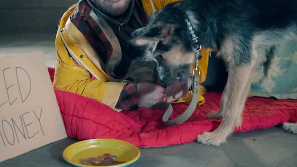 A Dog is Eating Out of Beggar's Hands