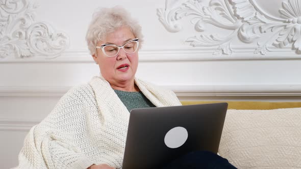 an Adult Woman with Gray Hair Works at a Laptop