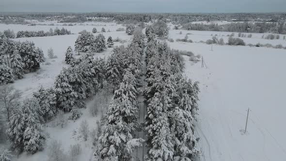 Winter railway in the forest – stock footage from drone