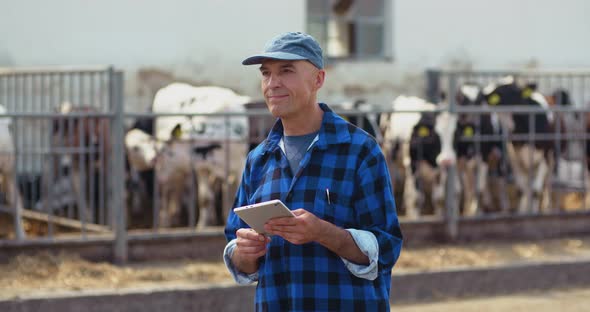 Farmer Using Digital Tablet While Looking at Cows