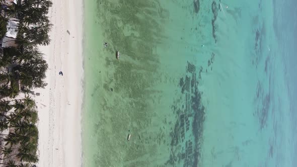 Vertical Video of the Ocean Near the Coast of Zanzibar Tanzania Aerial View