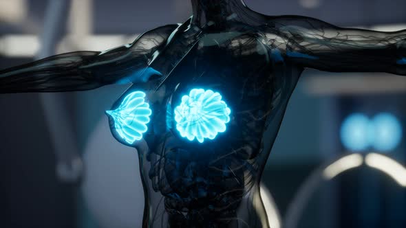 Medical Scan of Woman Breast alt