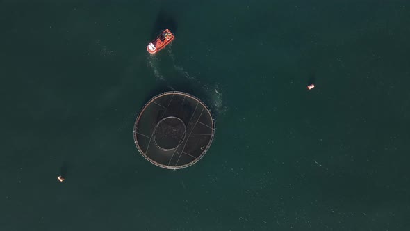 Fish Production Pond In The Sea