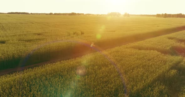 Aerial View on Young Boy That Rides a Bicycle Thru a Wheat Grass Field on the Old Rural Road