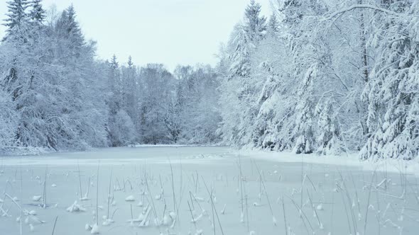 AERIAL - Frozen lake in a snowy winter forest in Sweden, low wide shot forward