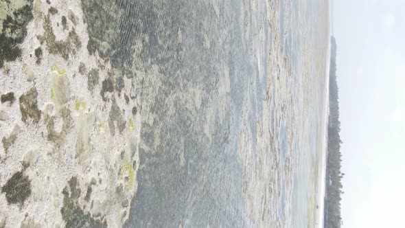 Vertical Video of Low Tide in the Ocean Near the Coast of Zanzibar Tanzania Aerial View