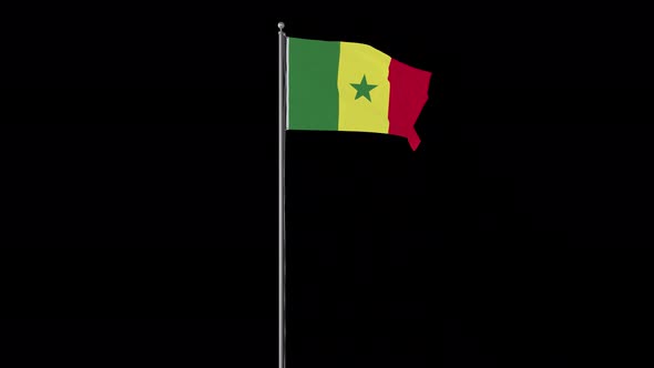 Senegal Small Flag Pole Loops With Alpha