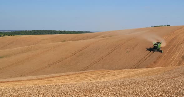 Agricultural Machinery Harvests Wheat