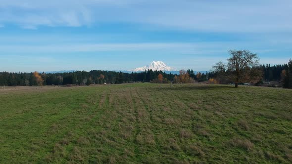 A beautiful crisp fall day in Washington State.  Ariel footage of green pasture with the snow-capped