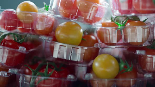 Factory Cherry Tomatoes Packs with Fresh Organic Natural Red Vegetables Closeup