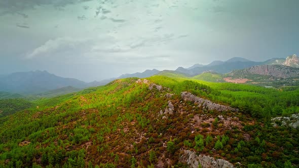 Aerial Forest view in Cloudy Weather (2K)