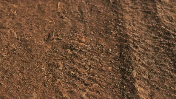 Wheel Tracks on Rough Road alt