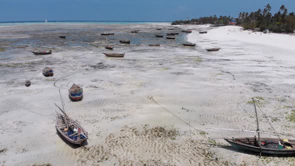 Many Fishing Boats Stuck in Sand Off Coast at Low Tide Zanzibar Aerial View