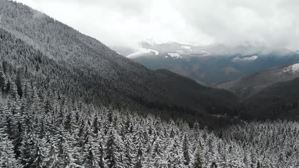 Drone Circle Around Dark Mountain Forest