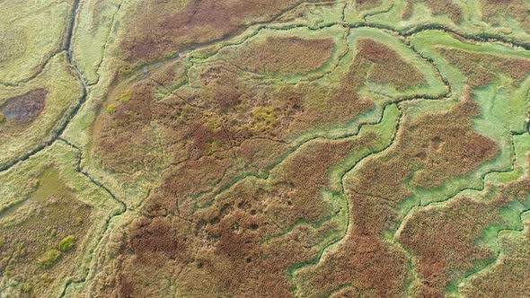 Aerial view of small stream crossing wetland, Netherlands.