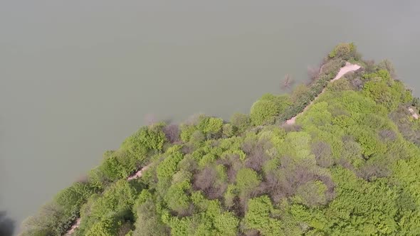 Aerial Colorful Forest and Lake