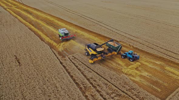 Harvest machine loading seeds in to trailer