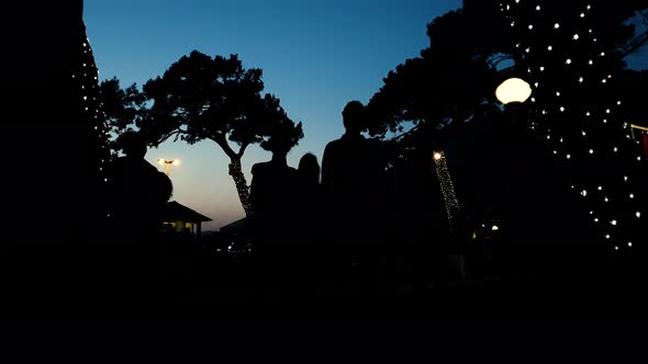 Silhouettes of People Walking in Urban Park at Sunset