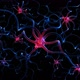 Neuron Cell - VideoHive Item for Sale