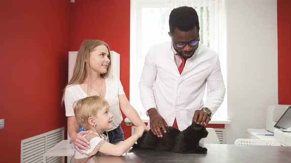 Professional Male Vet Examining Pet on the Examination Table