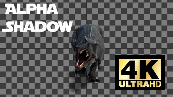 Dinosaur Tyrannosaurus Walk And Roar Loop With Alpha And Shadow Front View alt