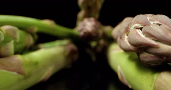  fresh summer Asparagus super macro close up 
