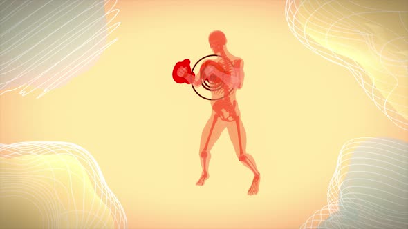 4K anatomy animation of a boxer