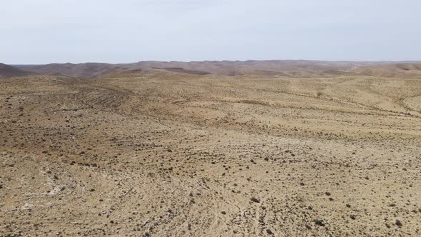 Endless wild desert landscape on a sunny day with blue sky at Ramon Crater in the Negev Desert, Isra